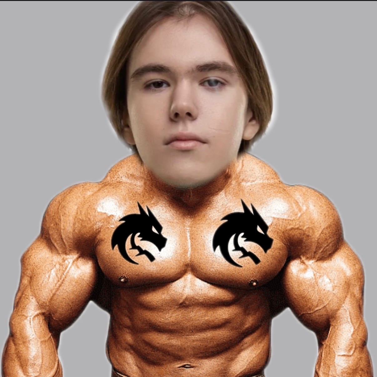 Pozhal100kg FACEIT avatar