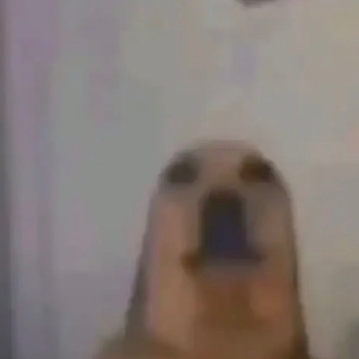 gr3g