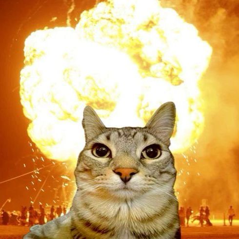 KOTITO BOMBITO