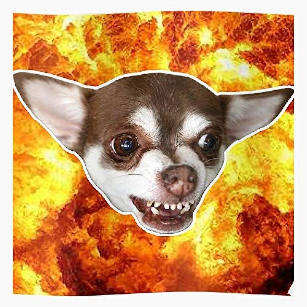 PavlovDog avatar