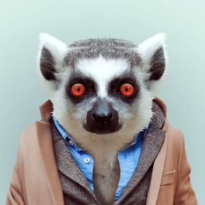 sCutz avatar