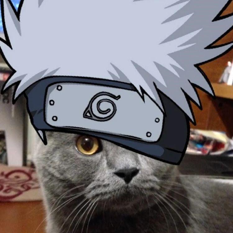 namek_suka avatar