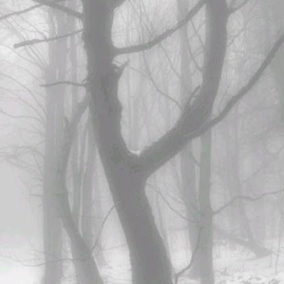 _zNie-