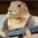 Marmota_PT avatar