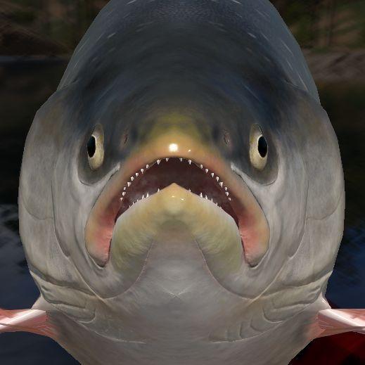 Wyvern76 avatar