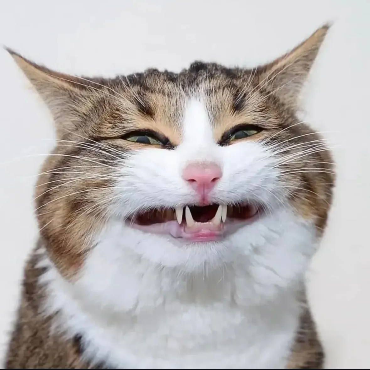 asmrft