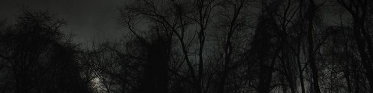 Faceit banner for @nascar