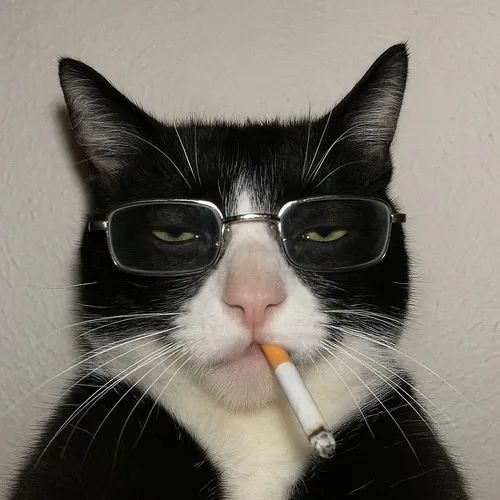 loltair