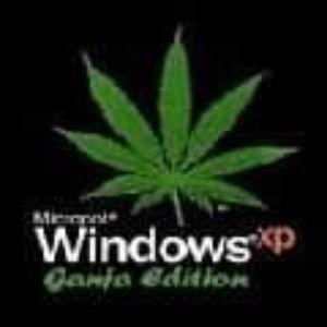ZAZAWEED avatar