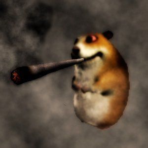 team_noltsuuu