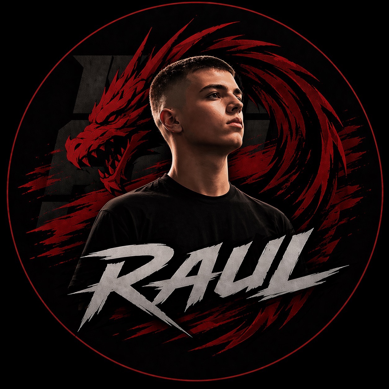 Raul17 FACEIT avatar