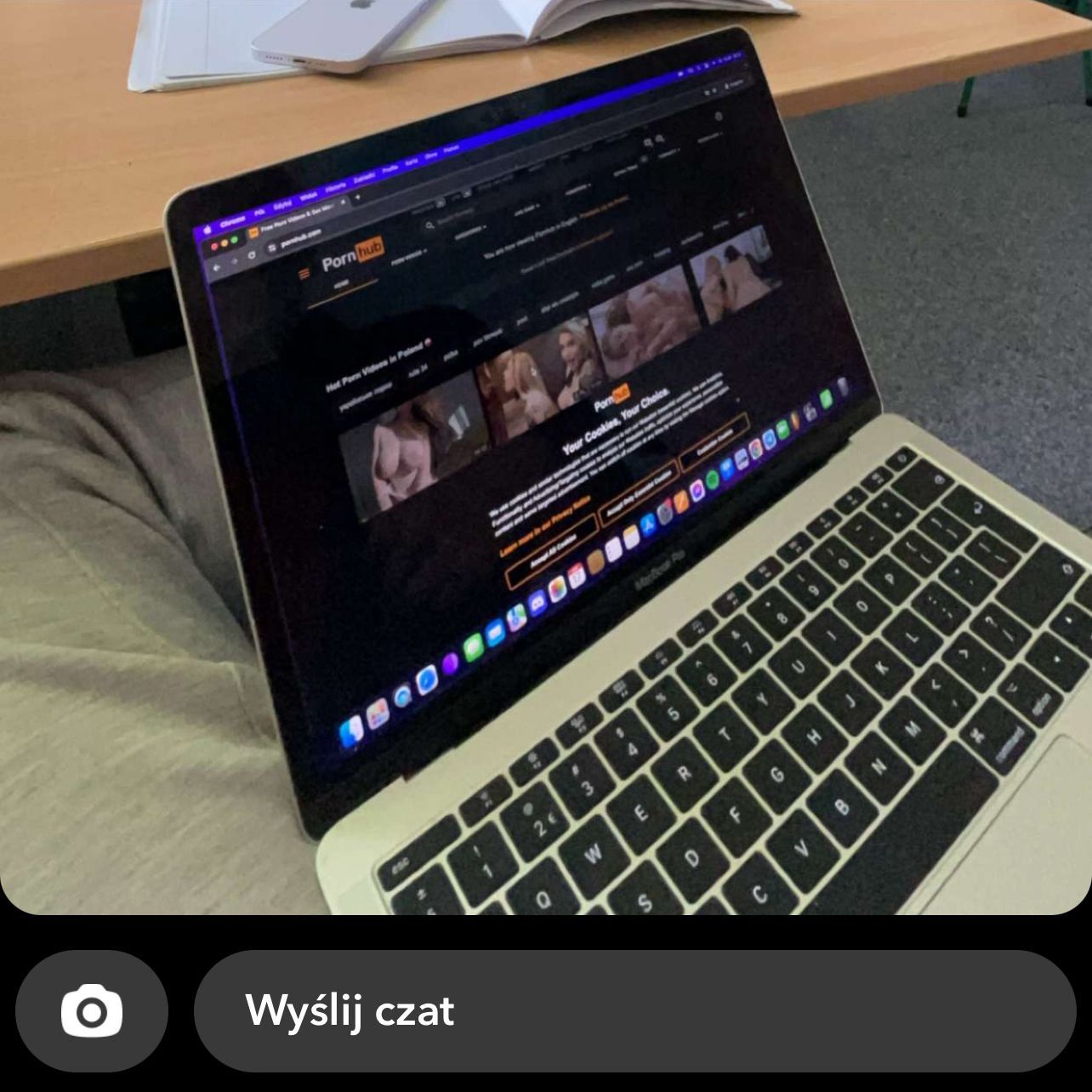 kocica88