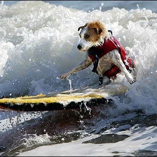 Surf1st4