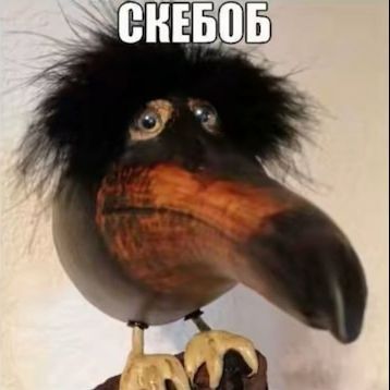 synt000