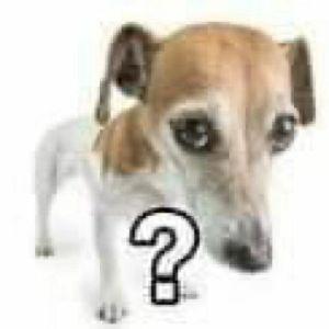 f4xryz3n avatar