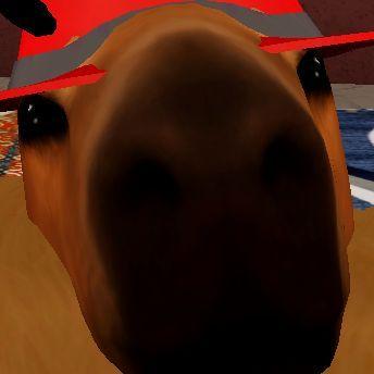 RoSE_NoSe avatar