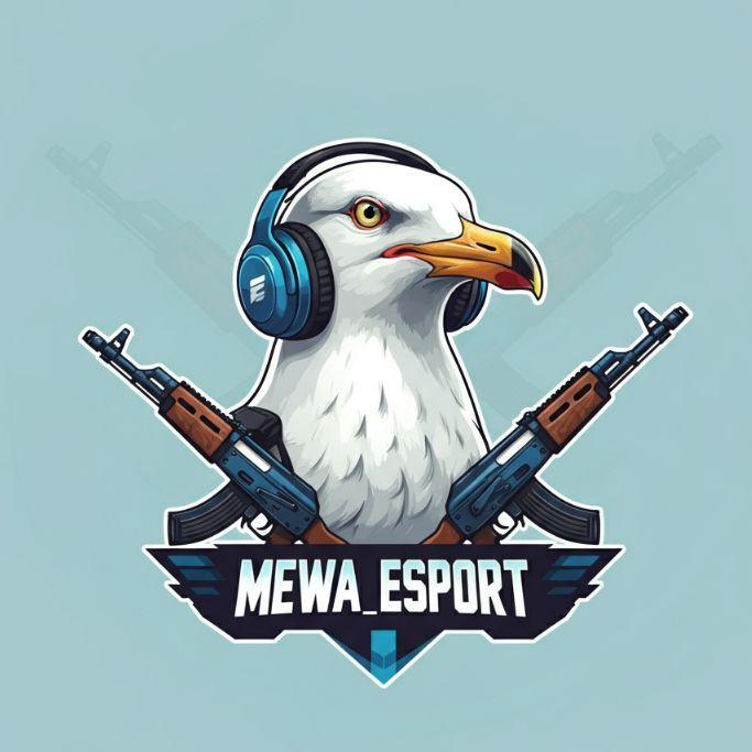 SoulFlyErko avatar