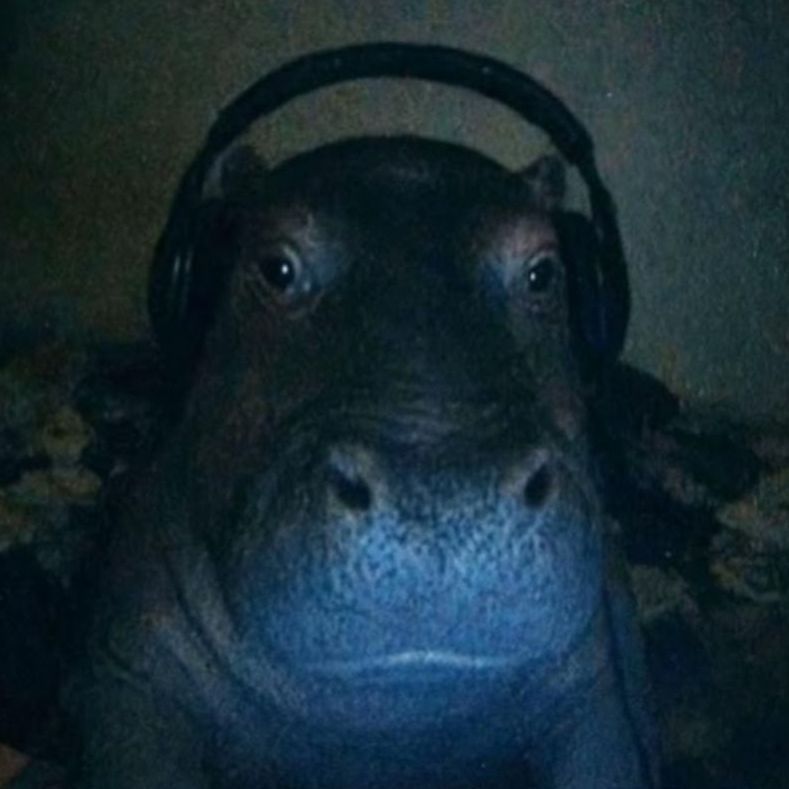 ICE__7