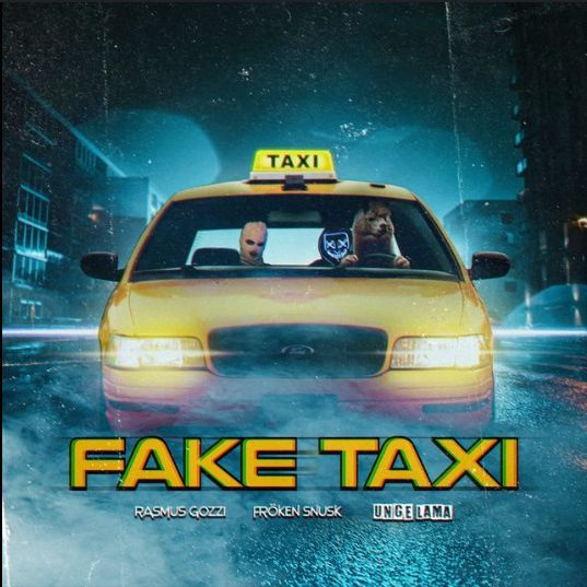 FAKE_TAXI113