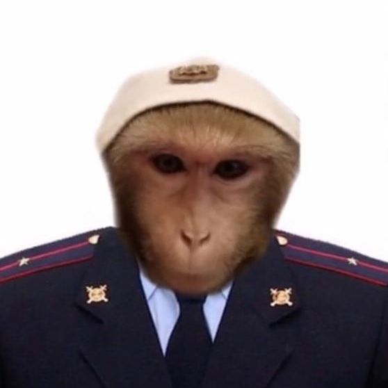 Smokyych