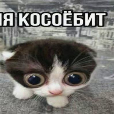 ckripka37
