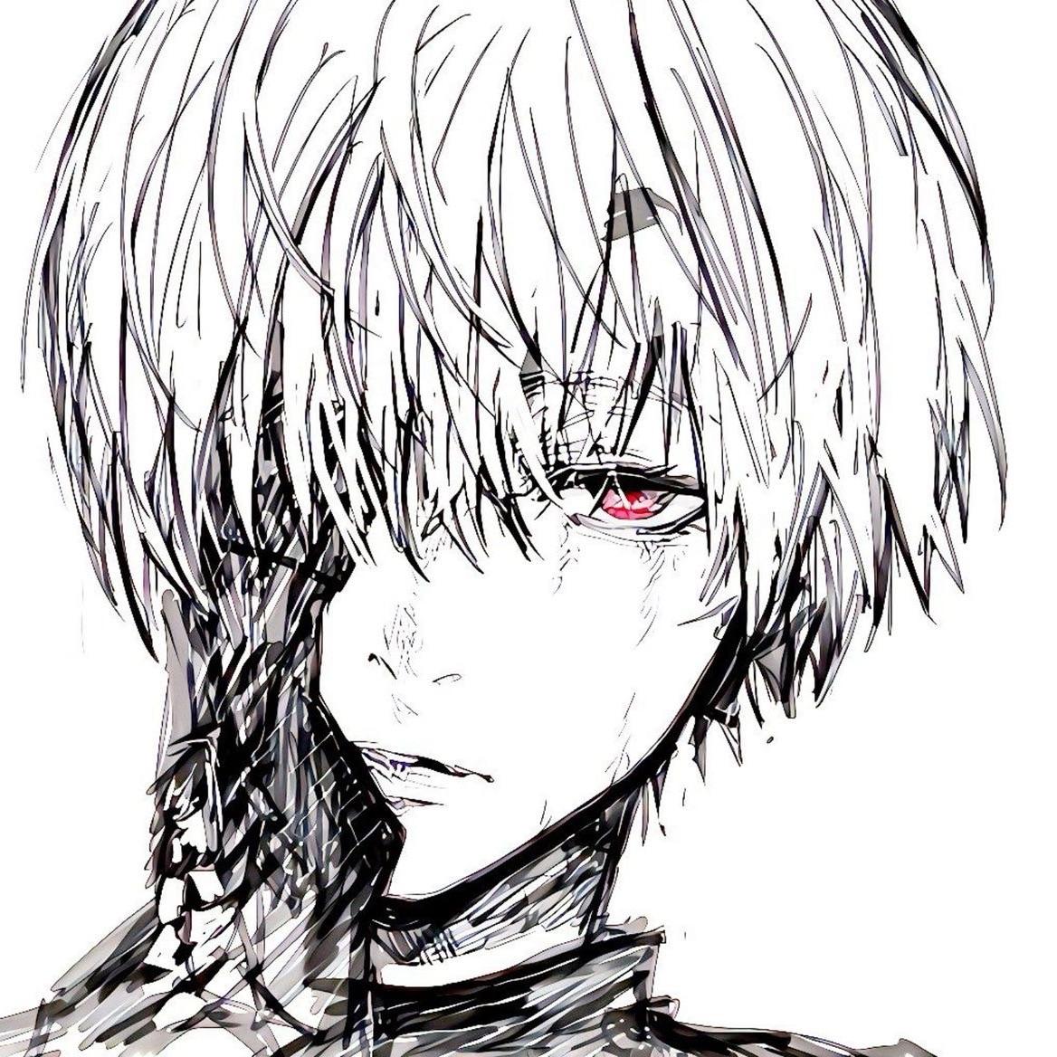 Wergo13 avatar