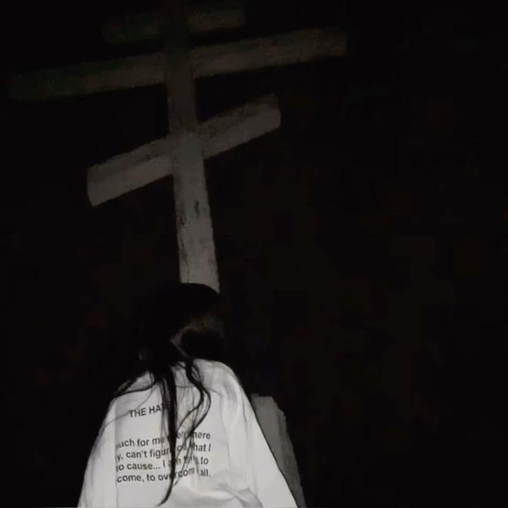 1icemer