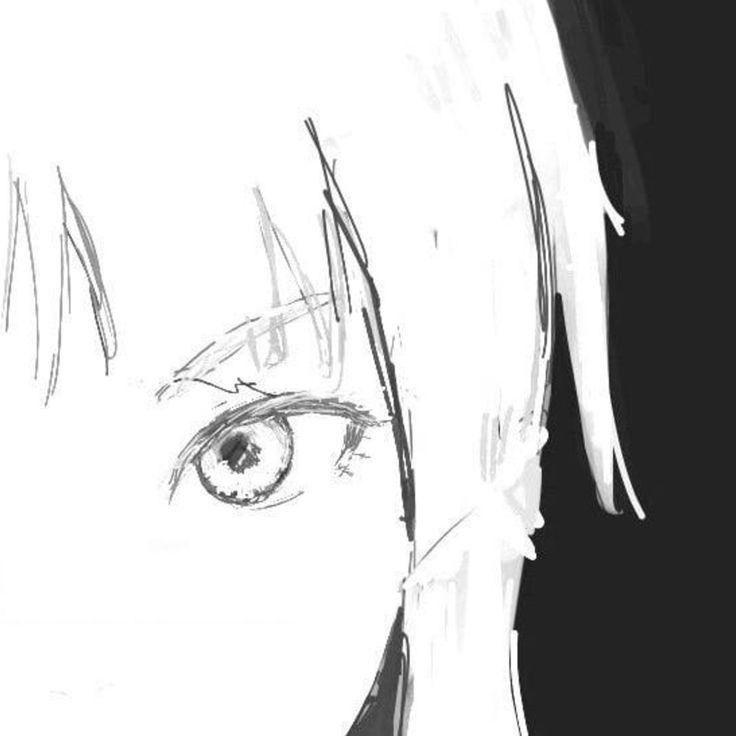 VIRUS_BRFF