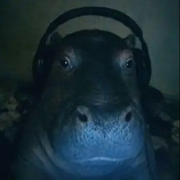 fudgitar