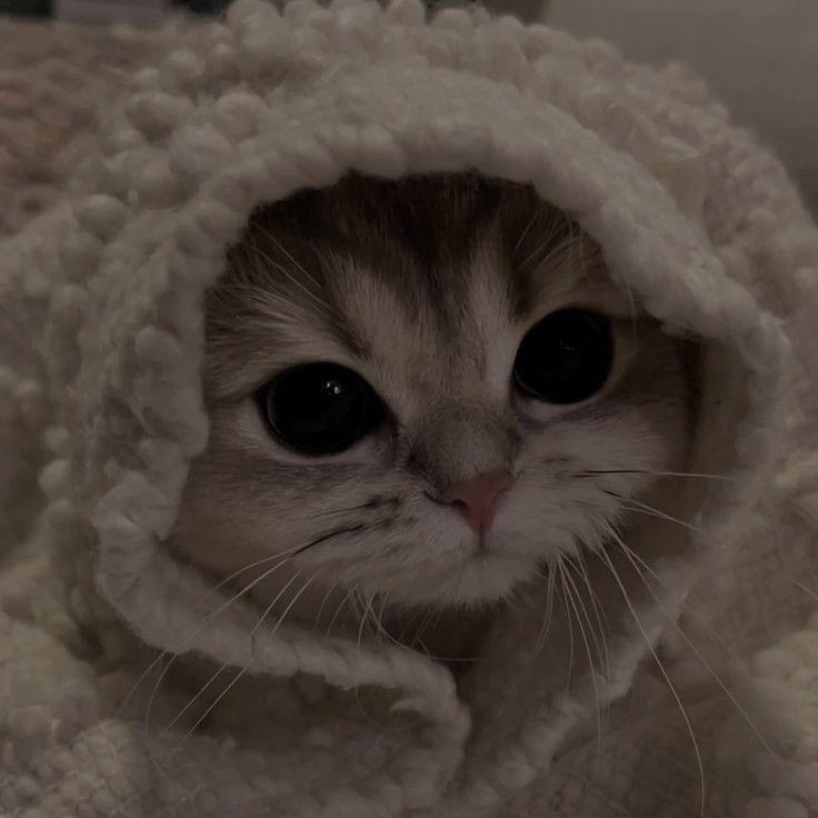 TTuqopac