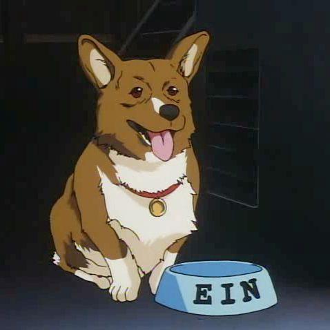 eratta avatar