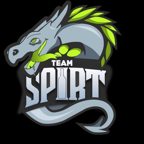 Team Spirt