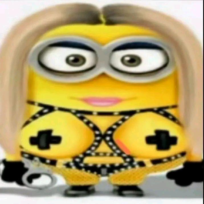 bebra483 avatar