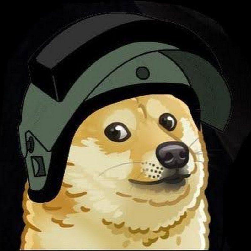 valikmo avatar