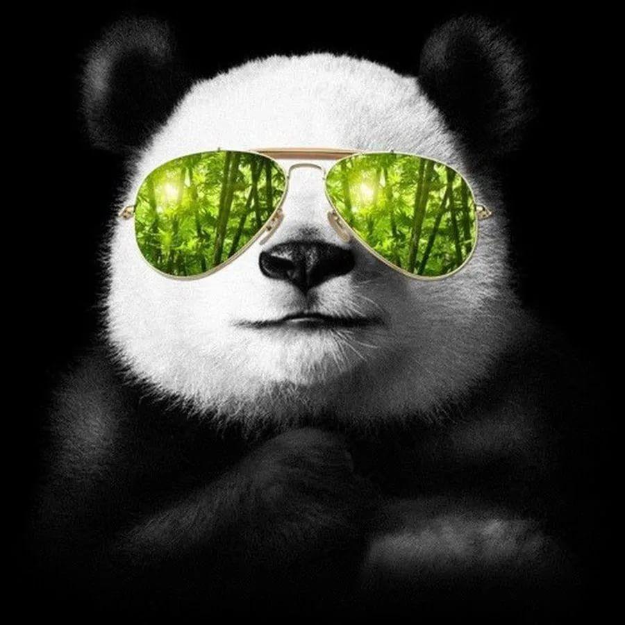 xD_4th avatar