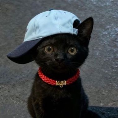 czecz FACEIT avatar