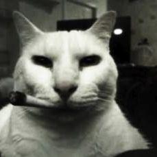 h0ul1ns avatar