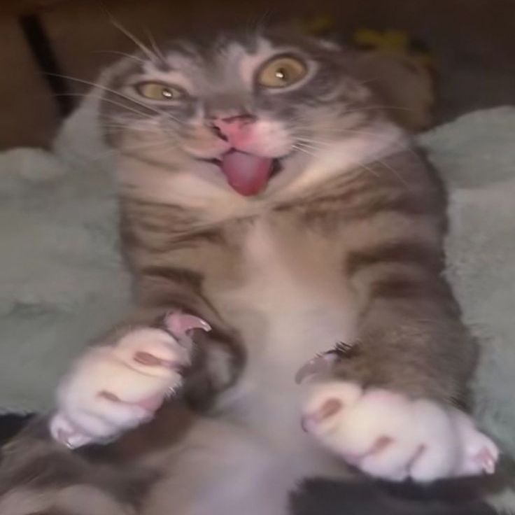il0v