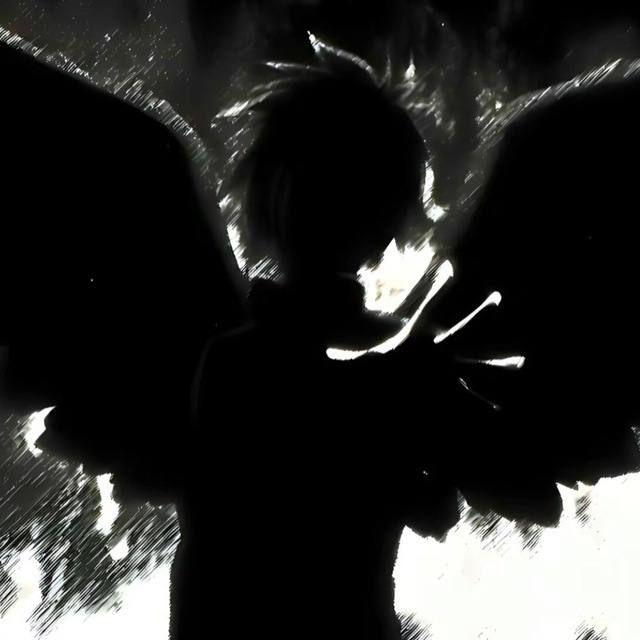 evolvevolve avatar