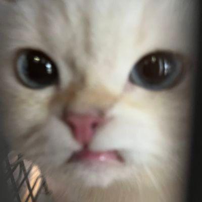bbnosk1ll avatar
