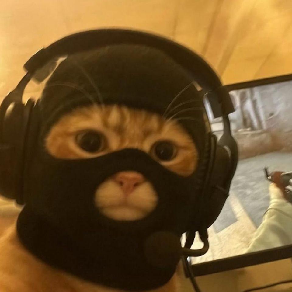 hild3 avatar