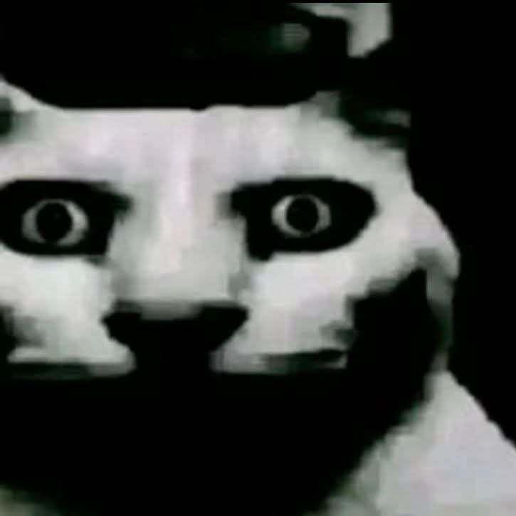 Nielegant avatar