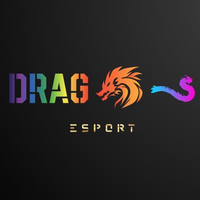 Team Dragos