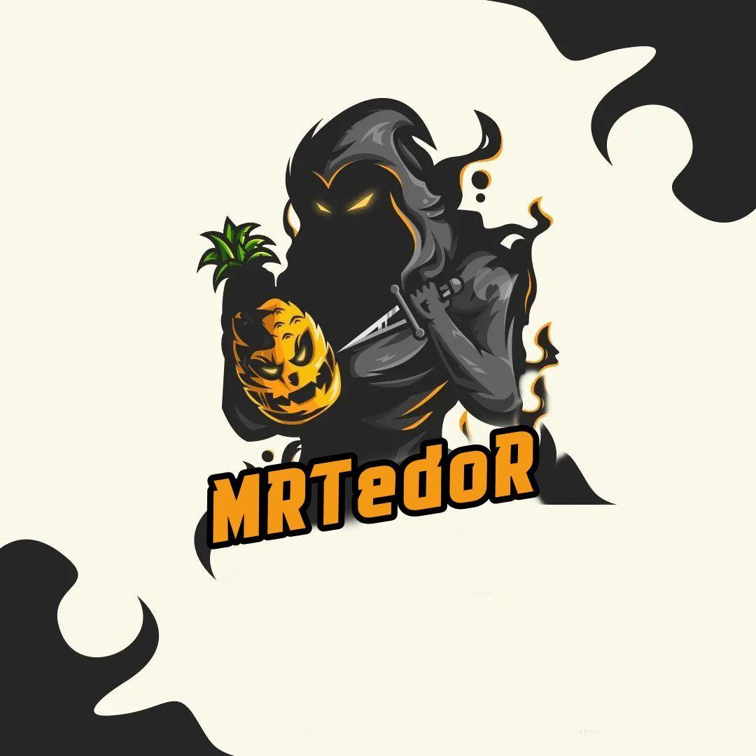 MRTTedoRR avatar