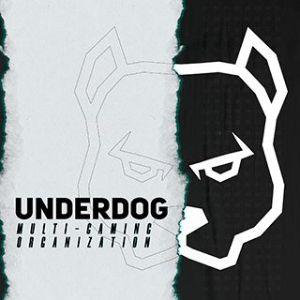 UnderDog CsGo
