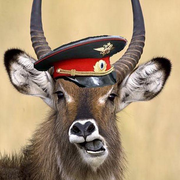 Sa4n2r avatar