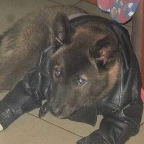Raorecf
