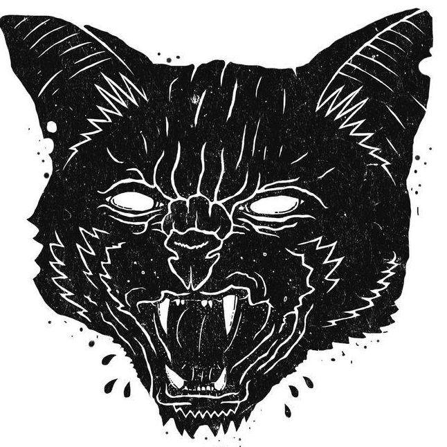 aN1cko avatar
