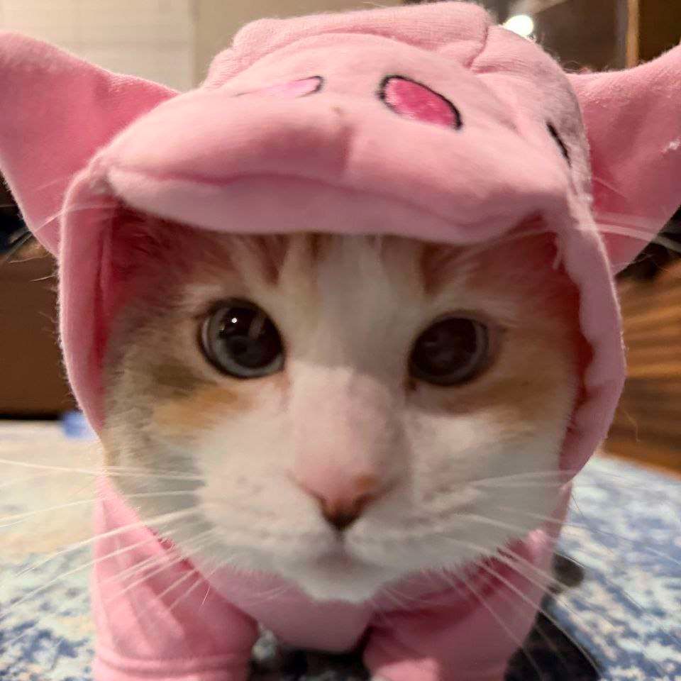 goobun
