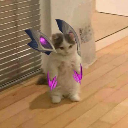 TokiAuLait